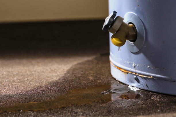 Best Carpet water damage restoration  in Aromas, CA