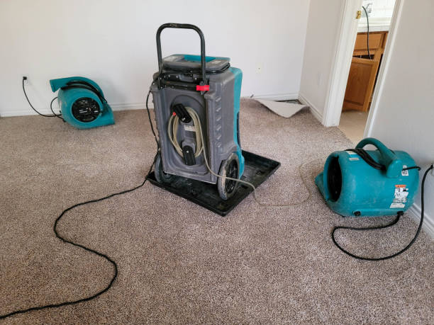 Best Local water damage restoration  in Aromas, CA
