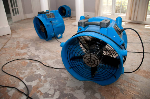 Best Ceiling water damage repair  in Aromas, CA