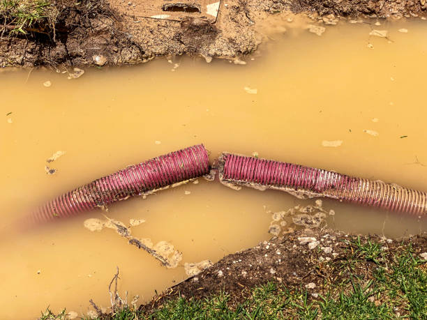 Best Water damage cleanup near me  in Aromas, CA