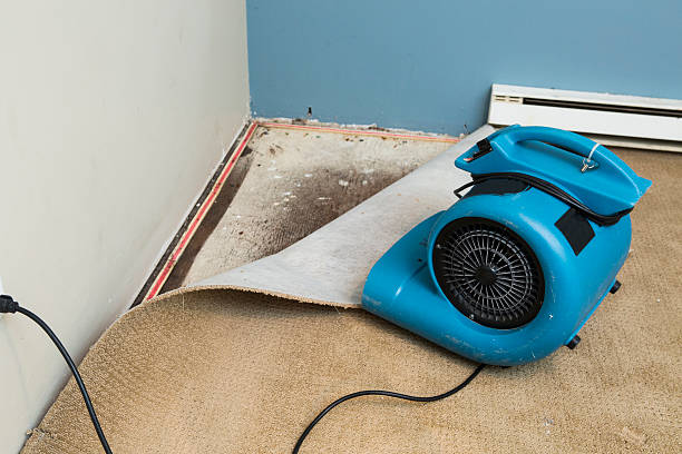 Best Professional water damage repair  in Aromas, CA