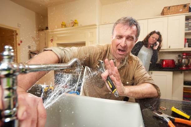 Best Flooded house restoration  in Aromas, CA